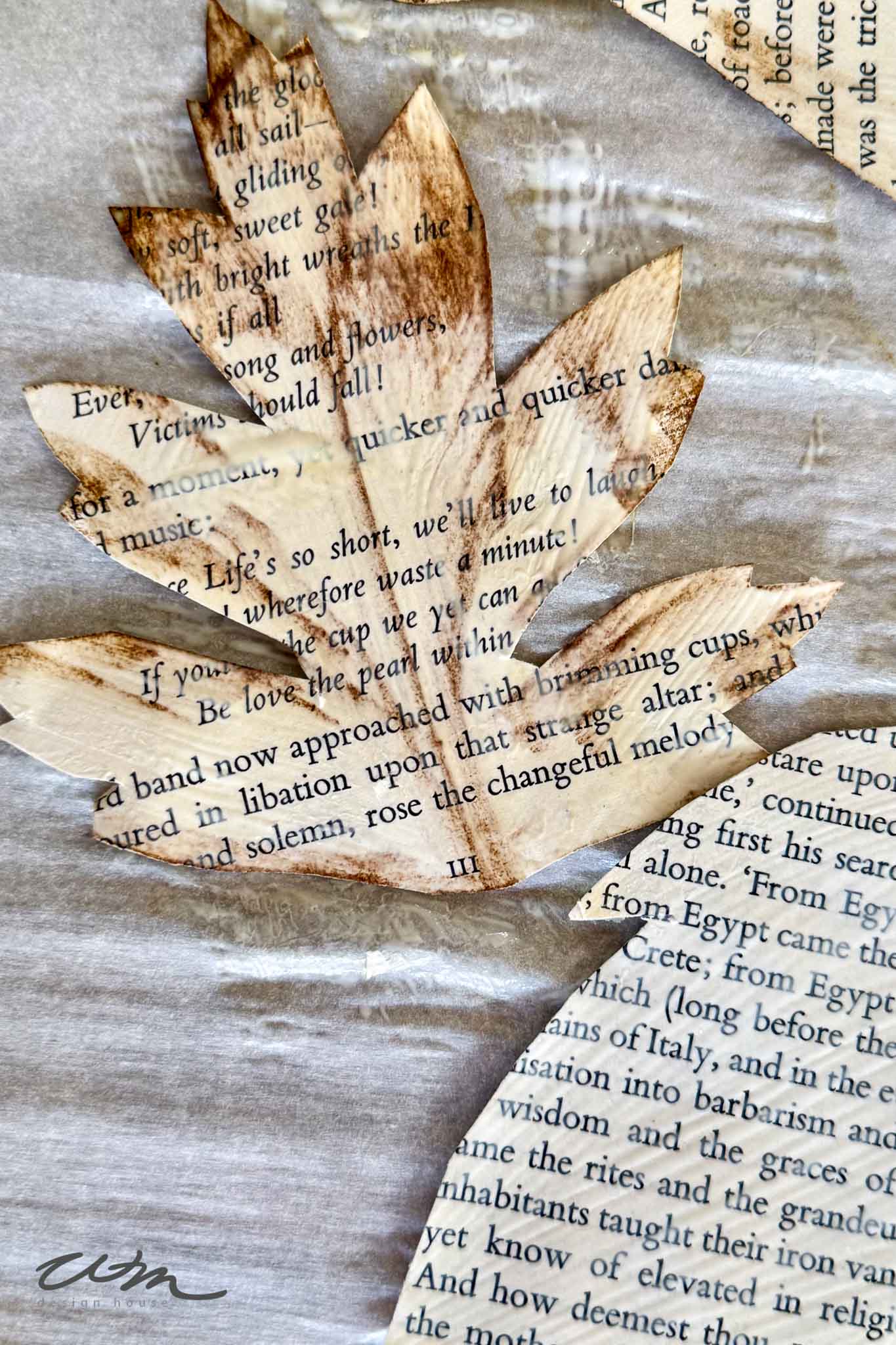 A piece of paper with text on it.