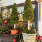 Two small topiary trees in pots, one labeled "Indoor Outdoor," are decorated with moss. They sit among scattered red pomegranates, green foliage, a watering can, and a garden rake near a window.