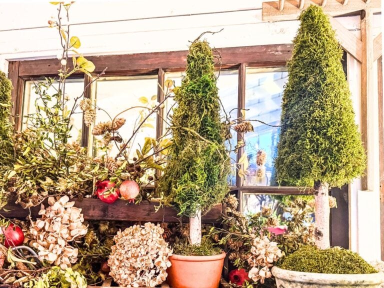 Two small DIY Moss Cone Christmas Trees in pots sit on a windowsill, surrounded by dried hydrangeas, pomegranates, and lush greenery, perfectly complementing the rustic charm of the wooden window behind them.
