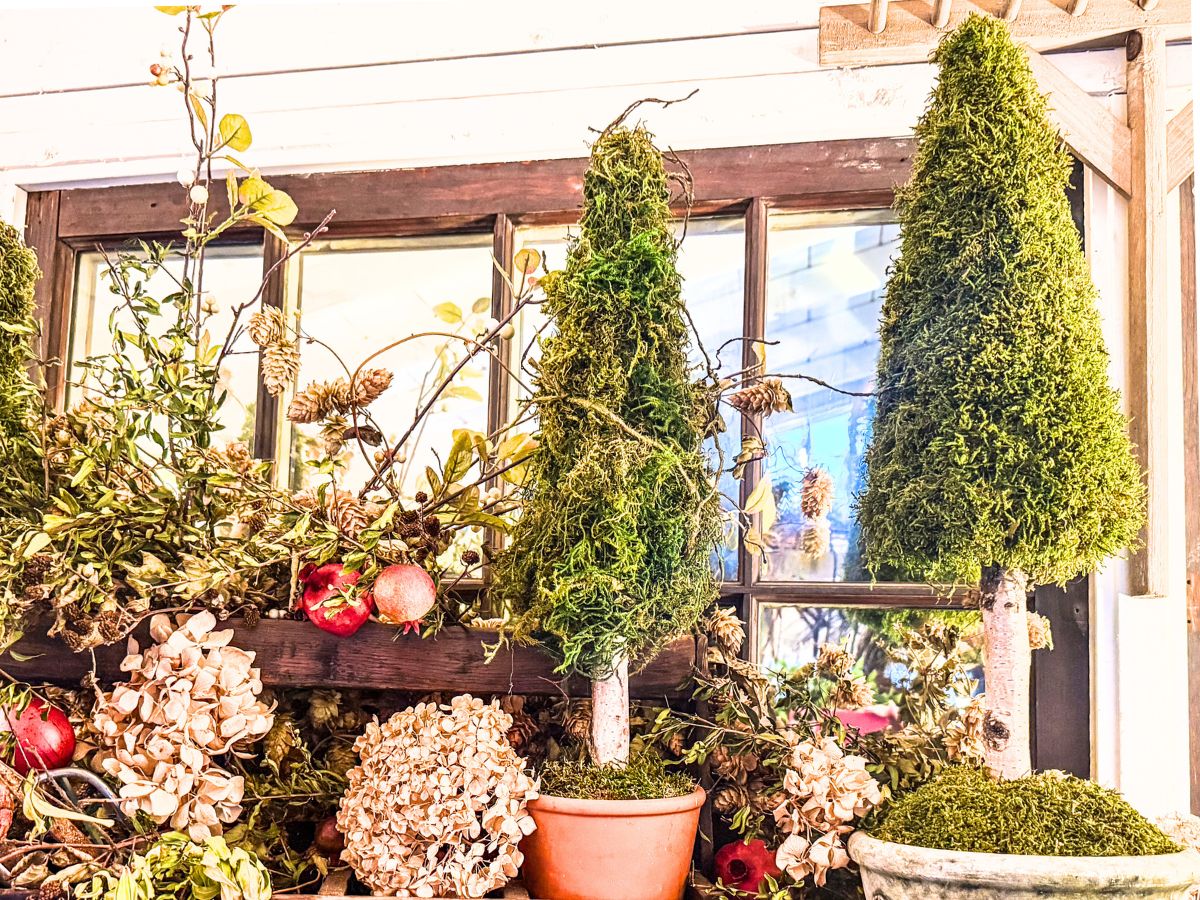 Two small DIY Moss Cone Christmas Trees in pots sit on a windowsill, surrounded by dried hydrangeas, pomegranates, and lush greenery, perfectly complementing the rustic charm of the wooden window behind them.