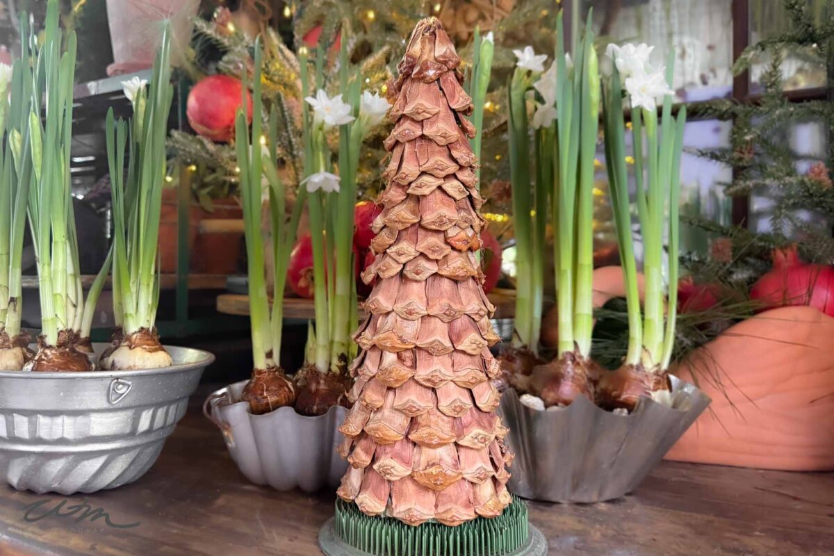 A decorative DIY pinecone Christmas tree made from overlapping dried brown leaves stands on a table, surrounded by pots of green sprouting bulbs and blooming white flowers. Other potted plants and a festive background are visible behind.