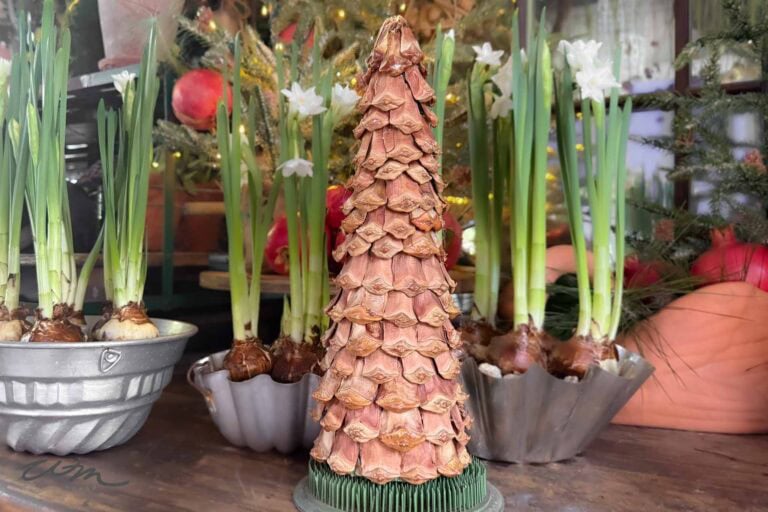 A decorative DIY pinecone Christmas tree made from overlapping dried brown leaves stands on a table, surrounded by pots of green sprouting bulbs and blooming white flowers. Other potted plants and a festive background are visible behind.