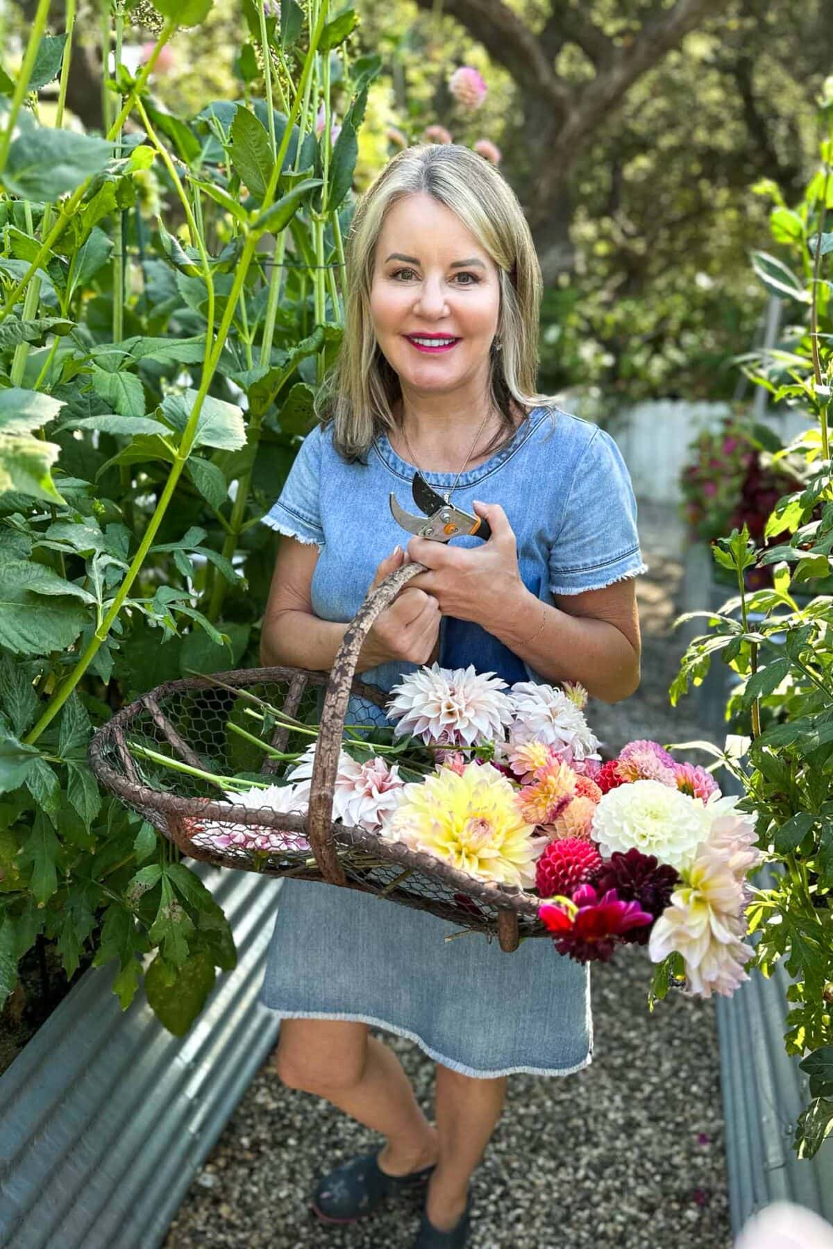 A woman in a denim dress stands in a garden, holding pruning shears and a basket filled with colorful dahlias. She is surrounded by lush green plants and smiling at the camera.