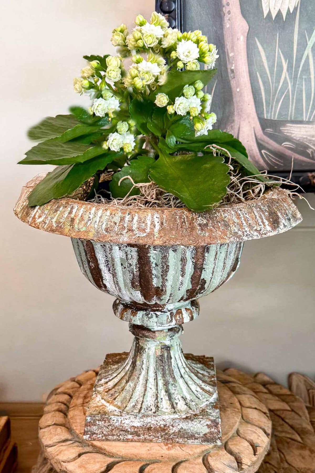 A green and white flowering plant in a distressed, vintage-style urn planter sits on a woven mat, adding vintage charm to your spring entry table decor, with a framed artwork partially visible behind it.