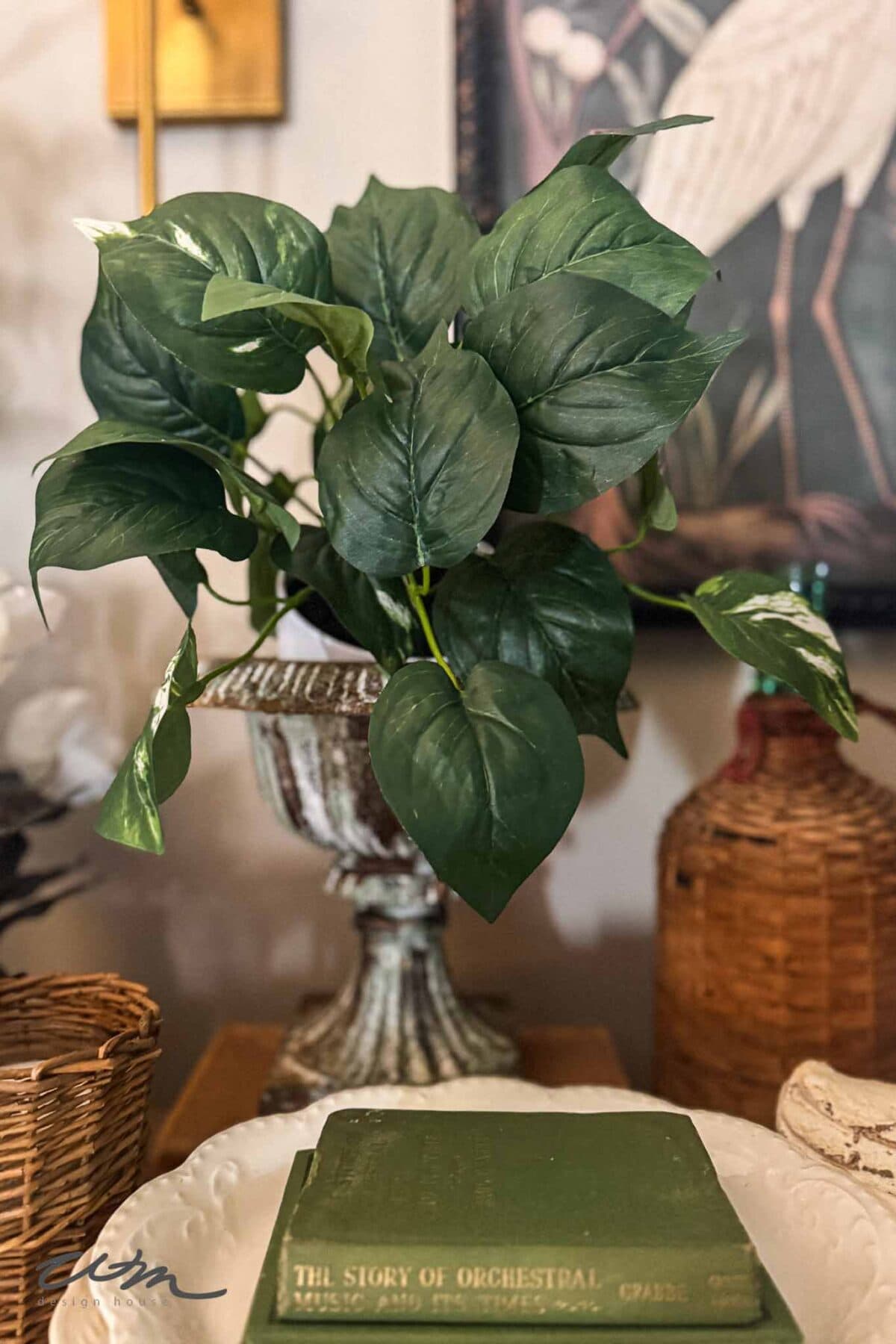 A potted plant with large green leaves sits in an ornate vase on a table, next to a basket and a closed green book titled "The Story of Orchestral Music." A framed picture is partially visible in the background.
