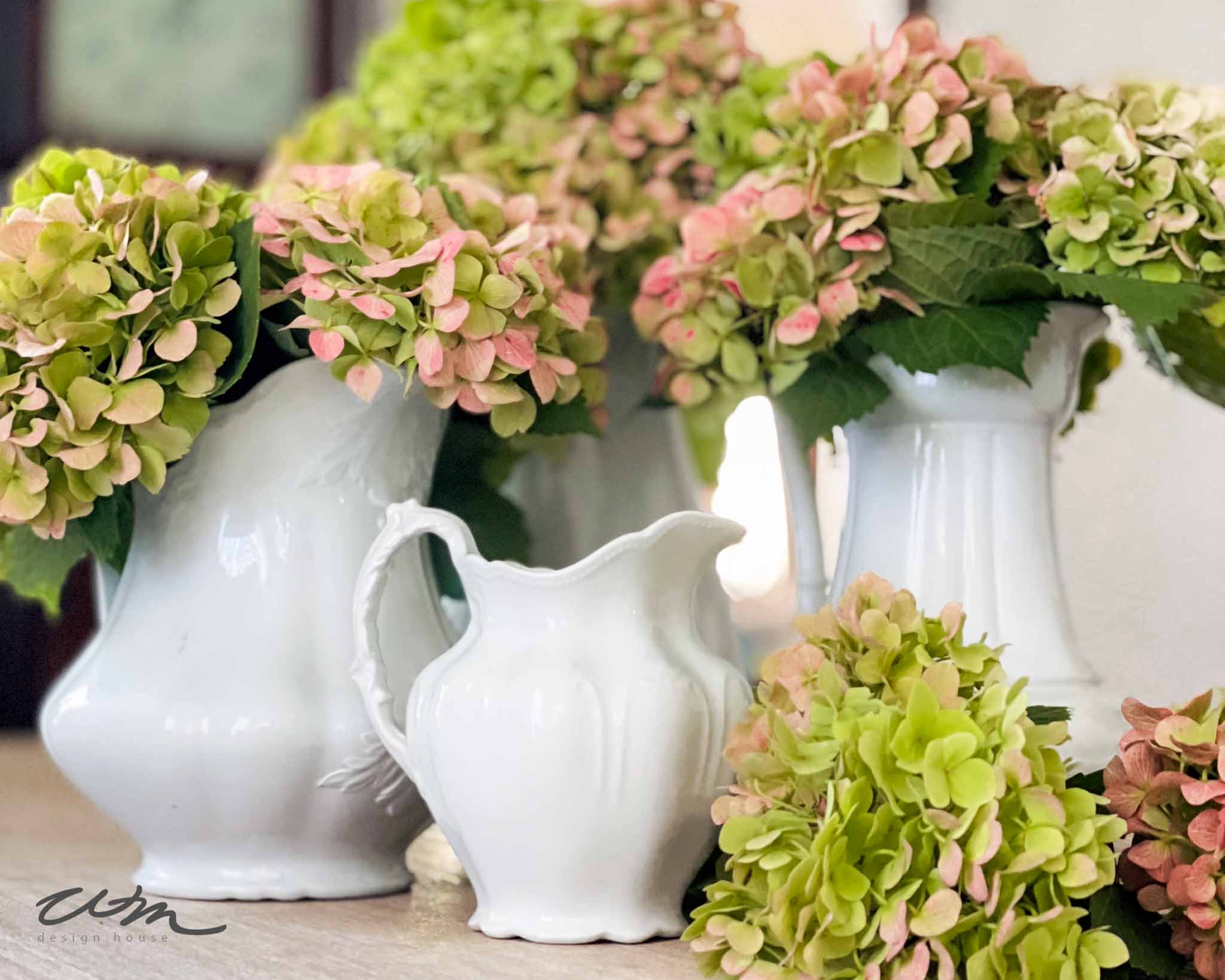 Three white ceramic pitchers filled with green and pink hydrangeas are arranged on a light surface. One smaller empty pitcher is placed in front, with more hydrangea blooms scattered around them.