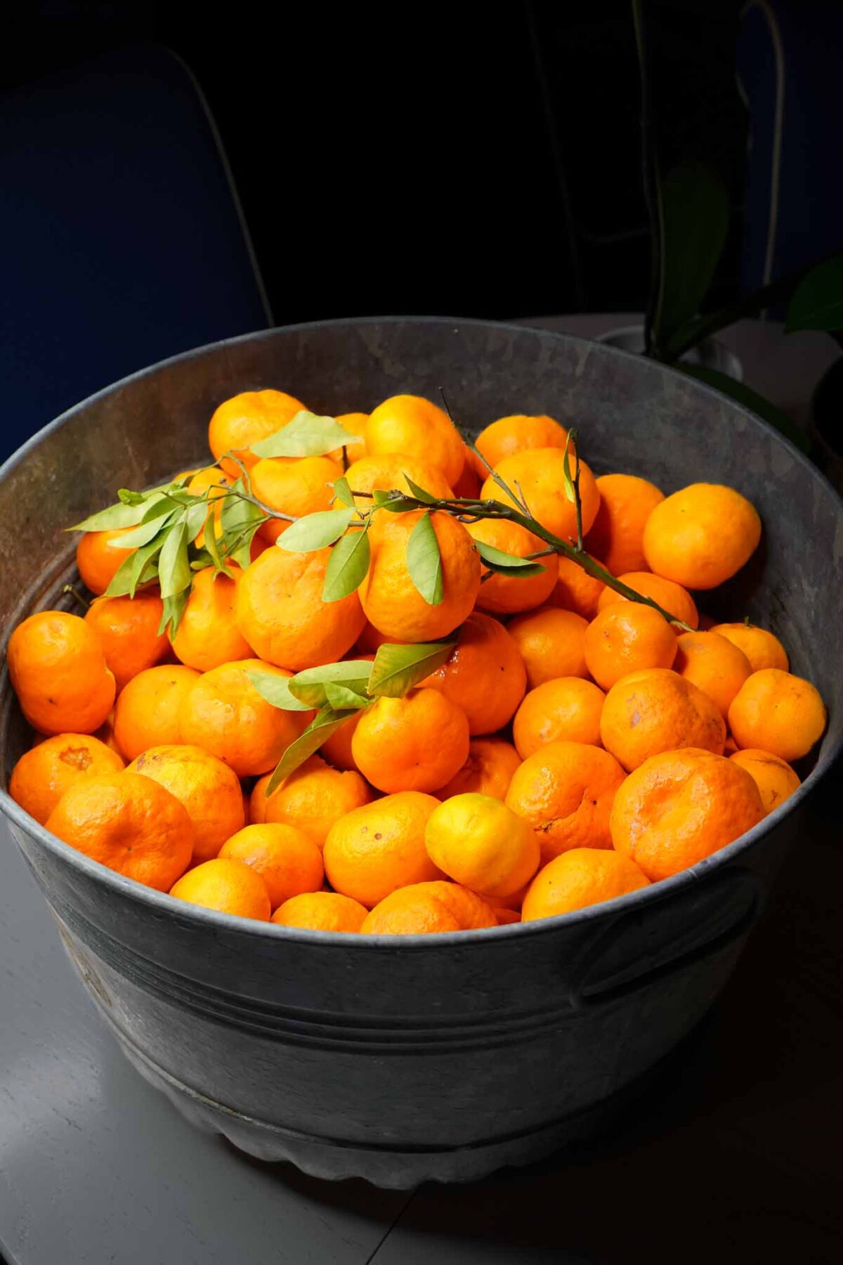 A large metal bucket filled with bright orange tangerines, some with green leaves attached, sits on a table under direct light.