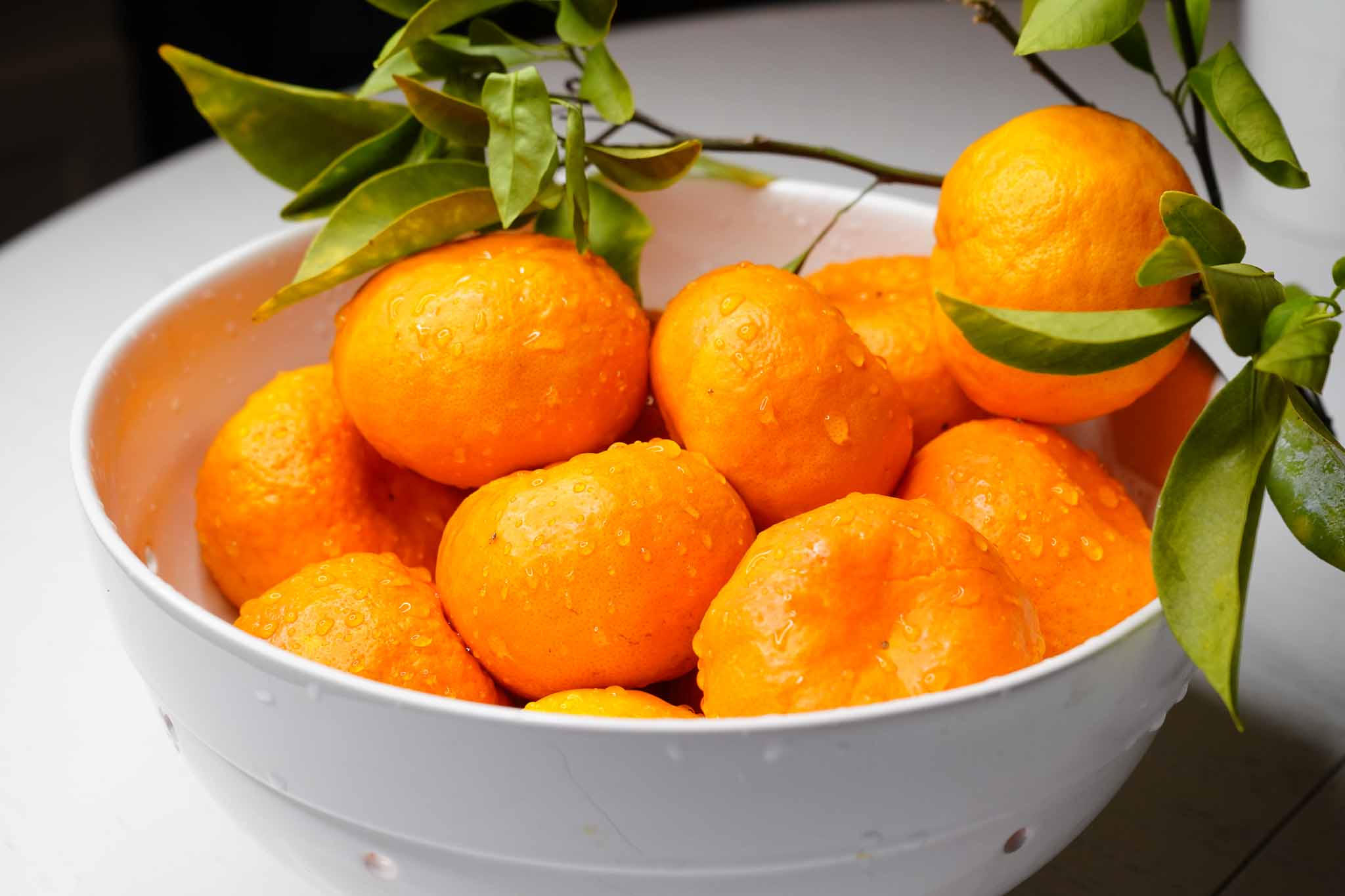 A white bowl filled with fresh, bright orange tangerines, some with green leaves still attached, and droplets of water on their surfaces.