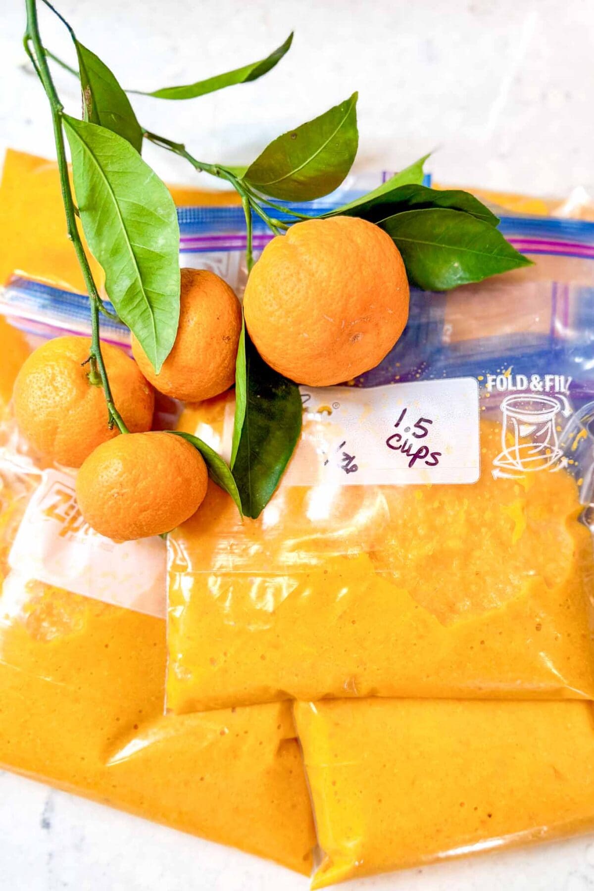 freezing tangerine puree in bags- Several clear plastic bags filled with bright orange puree are stacked on a surface. Fresh oranges with green leaves rest on top, and one bag is labeled "1.5 cups" in marker.