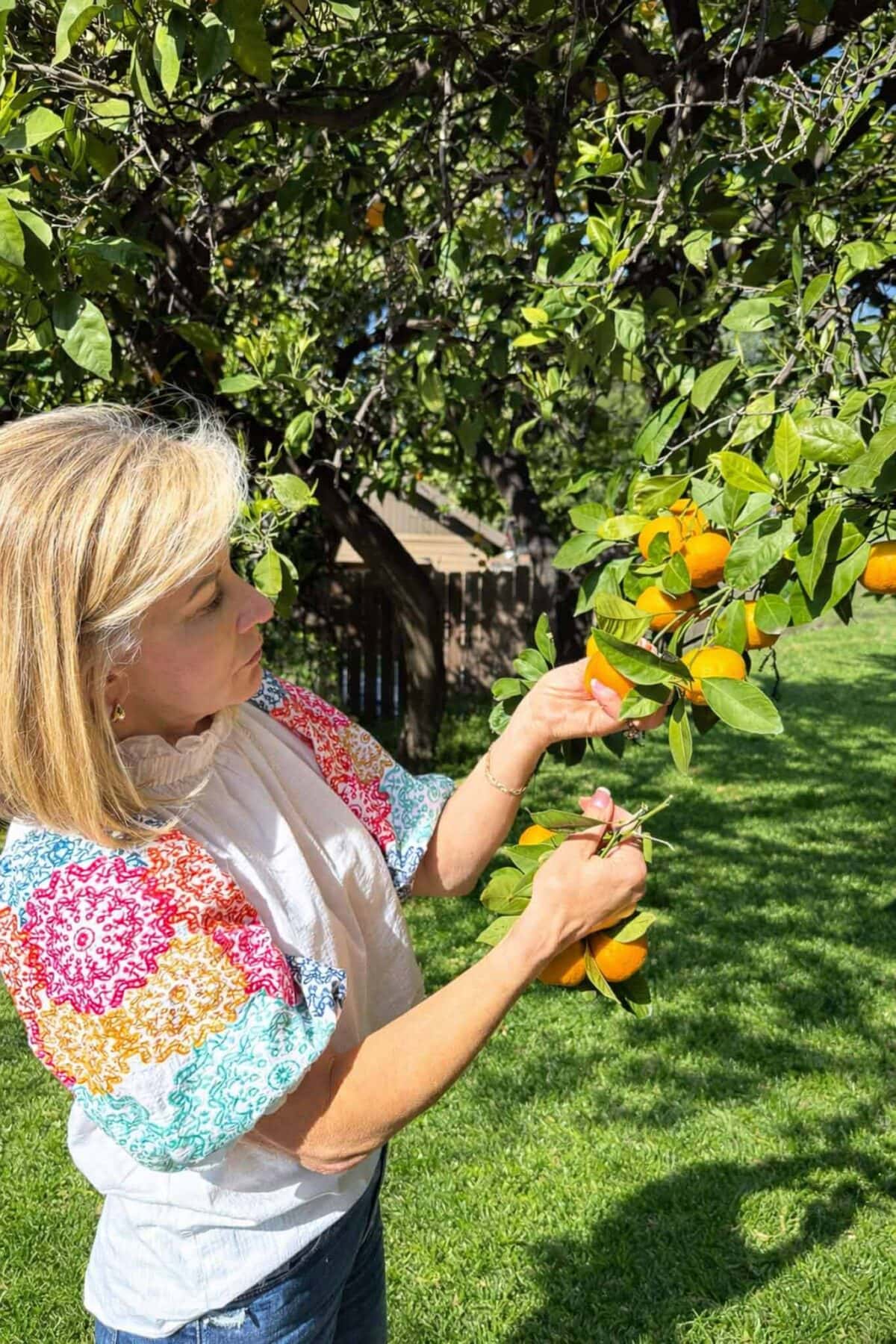 A woman with blonde hair and a colorful top picks oranges from a tree in a sunny, green backyard.