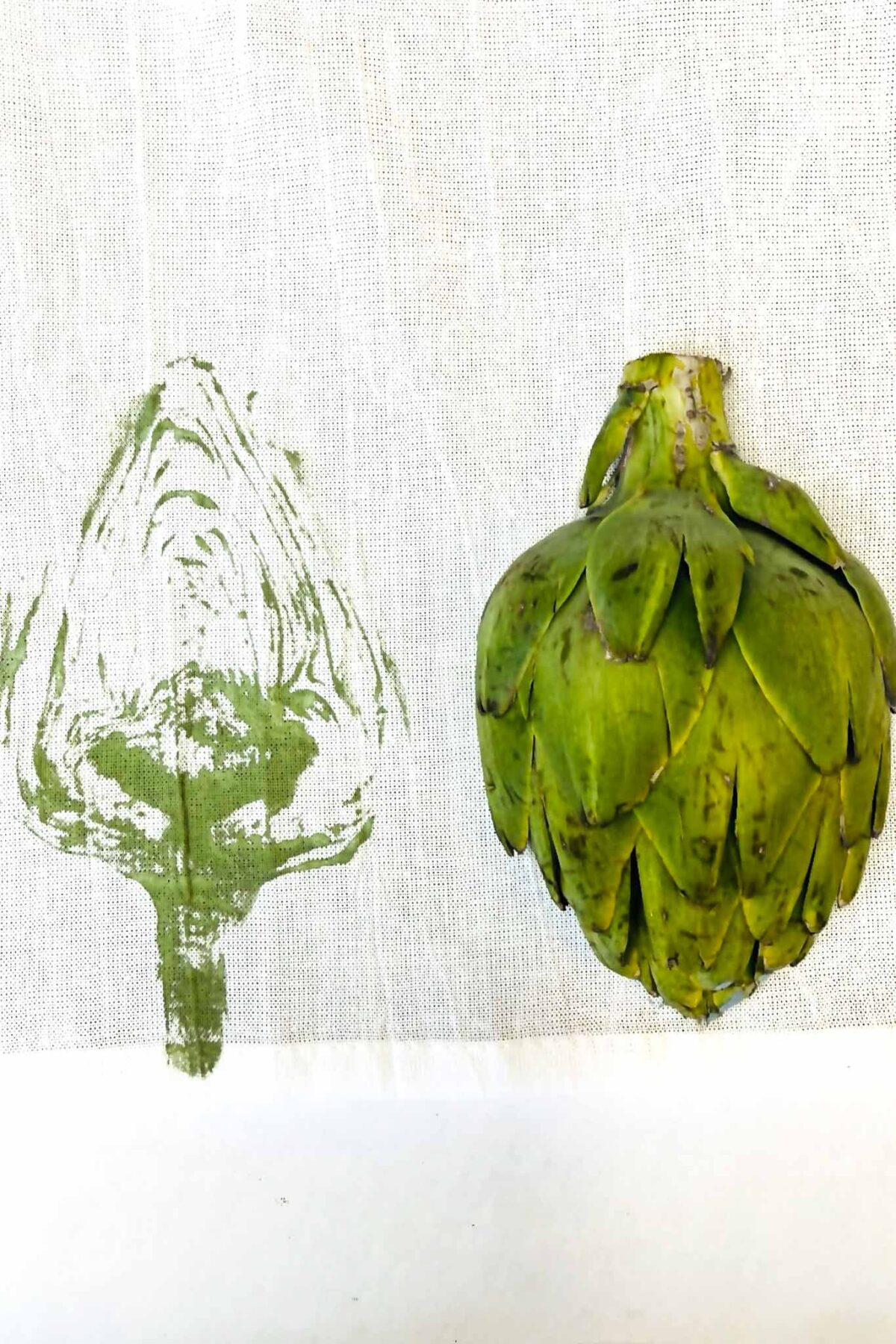 A fresh green artichoke sits on white fabric next to a green paint print of the artichoke's cross-section, showcasing a creative vegetable block printing art project.