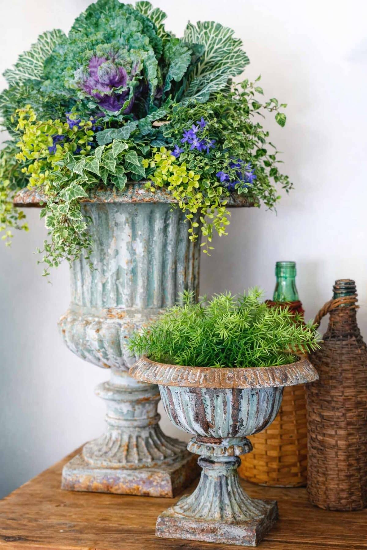 Two vintage, weathered urn planters hold leafy ornamental cabbage, ivy, small purple flowers, and green foliage—perfect inspiration for vintage Easter decorating ideas. They rest on a wooden surface beside a woven bottle and green glass bottle.