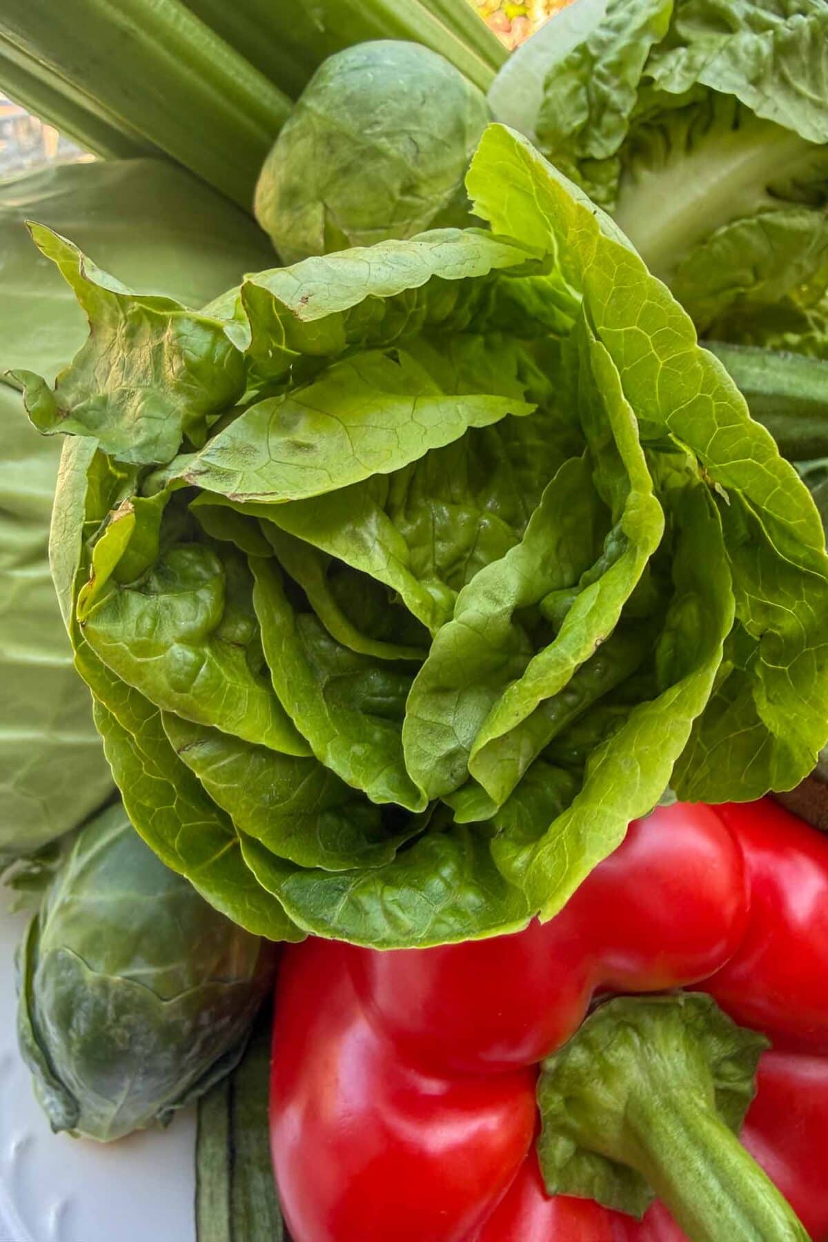 A close-up of fresh vegetables, including a head of romaine lettuce, red bell pepper, Brussels sprouts, celery, and cabbage. The produce appears crisp and vibrant.