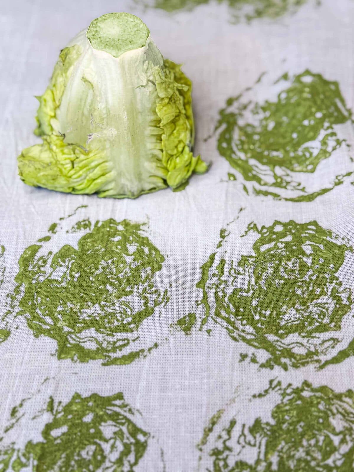 A lettuce stem is used as a stamp to create green, circular prints on a white fabric surface, showing a floral or rose-like pattern.