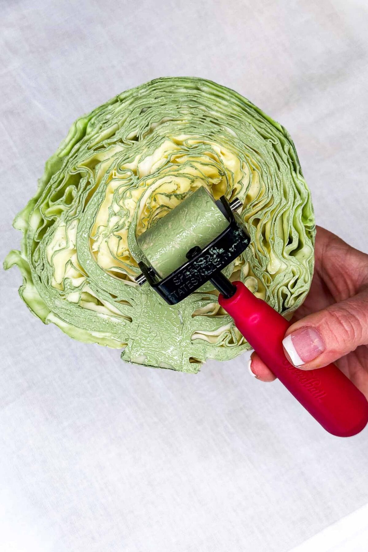 A hand holds a halved cabbage while rolling a small paint roller with a red handle over the cut surface of the cabbage.