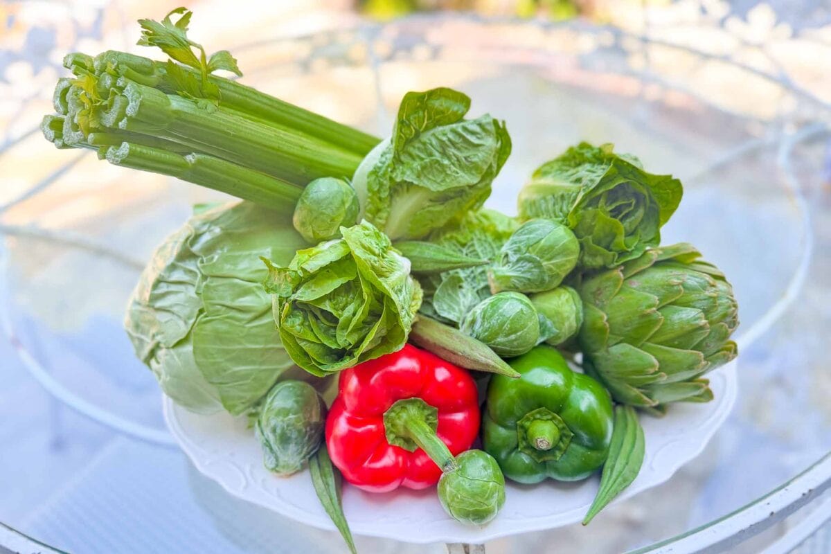 A plate of fresh green vegetables, perfect for inspiring vegetable block printing, features celery, lettuce, artichoke, Brussels sprouts, cabbage, a green bell pepper, and a red bell pepper on a glass table.
