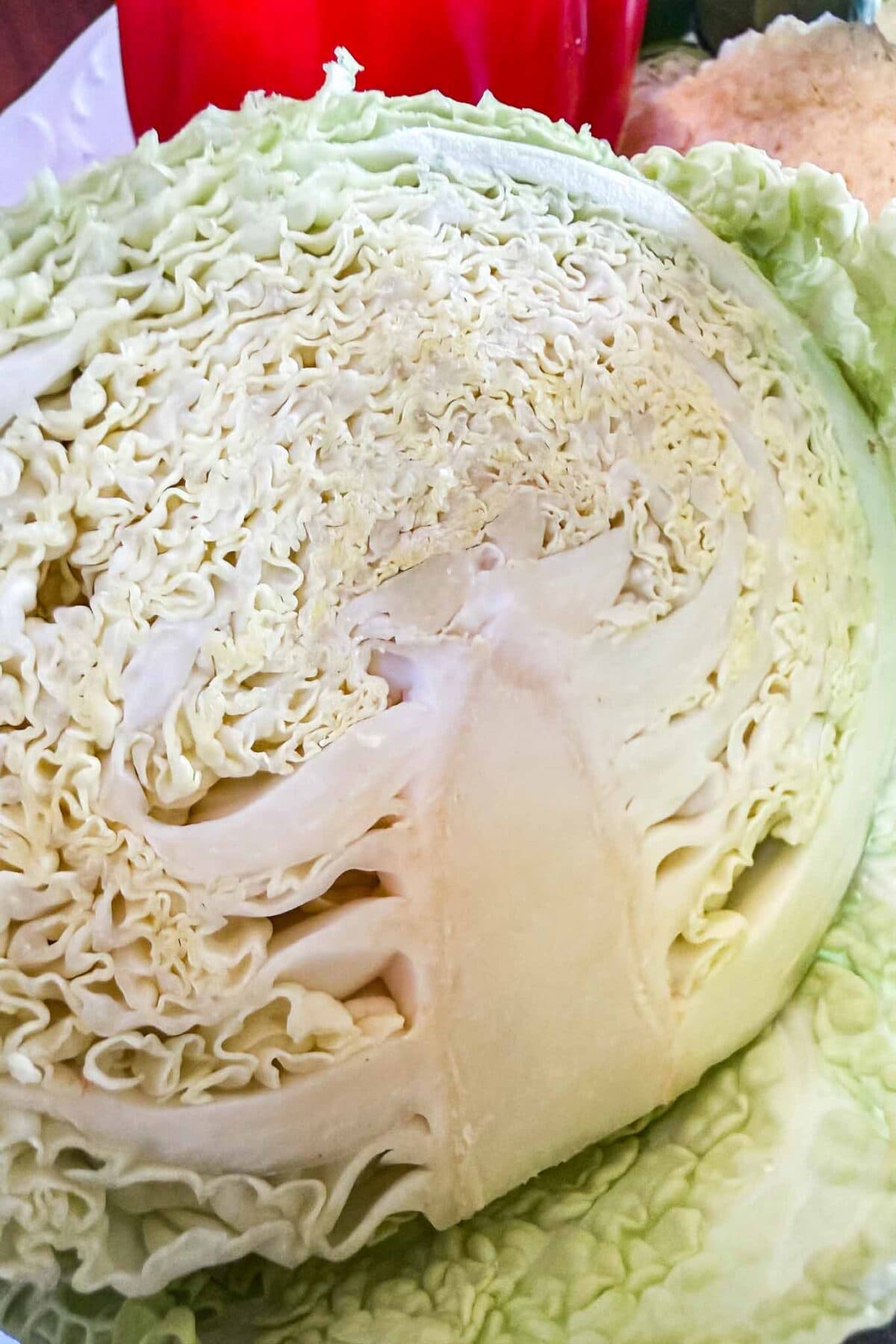 Close-up of a halved green cabbage, showing the intricate layers and tightly packed leaves inside—perfect inspiration for vegetable block printing with its visible central stem and delicate veining against the pale green and white interior.