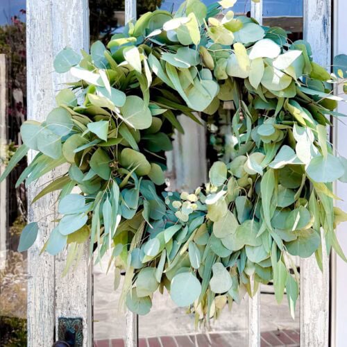 Beautiful eucalyptus wreath hanging on rustic wooden door for home decoration.