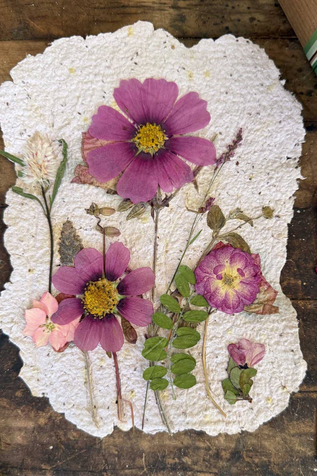 Pressed pink and purple flowers with green leaves arranged on a rough-edged piece of handmade, textured white paper set on a wooden surface.
