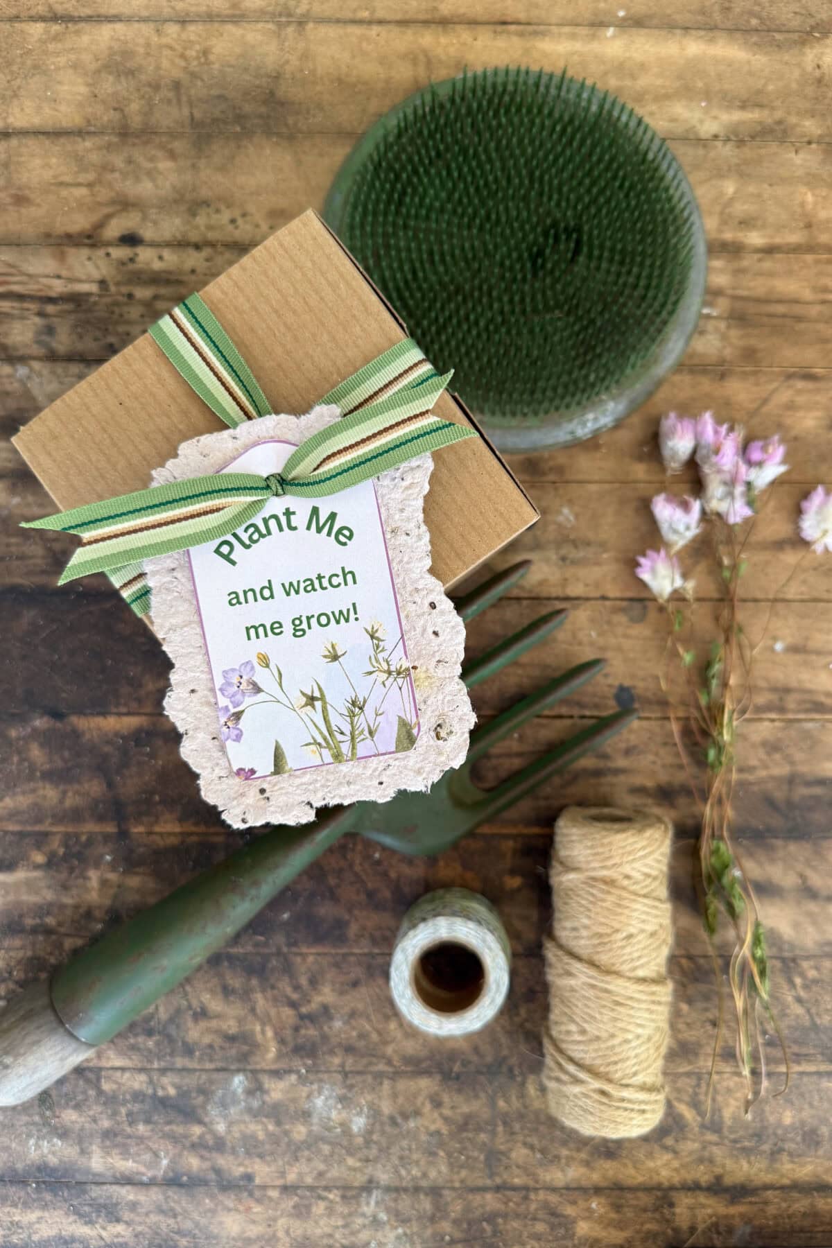 Eco-friendly plant care gift set with gardening brush, twine, and flower sprigs for plant lovers.