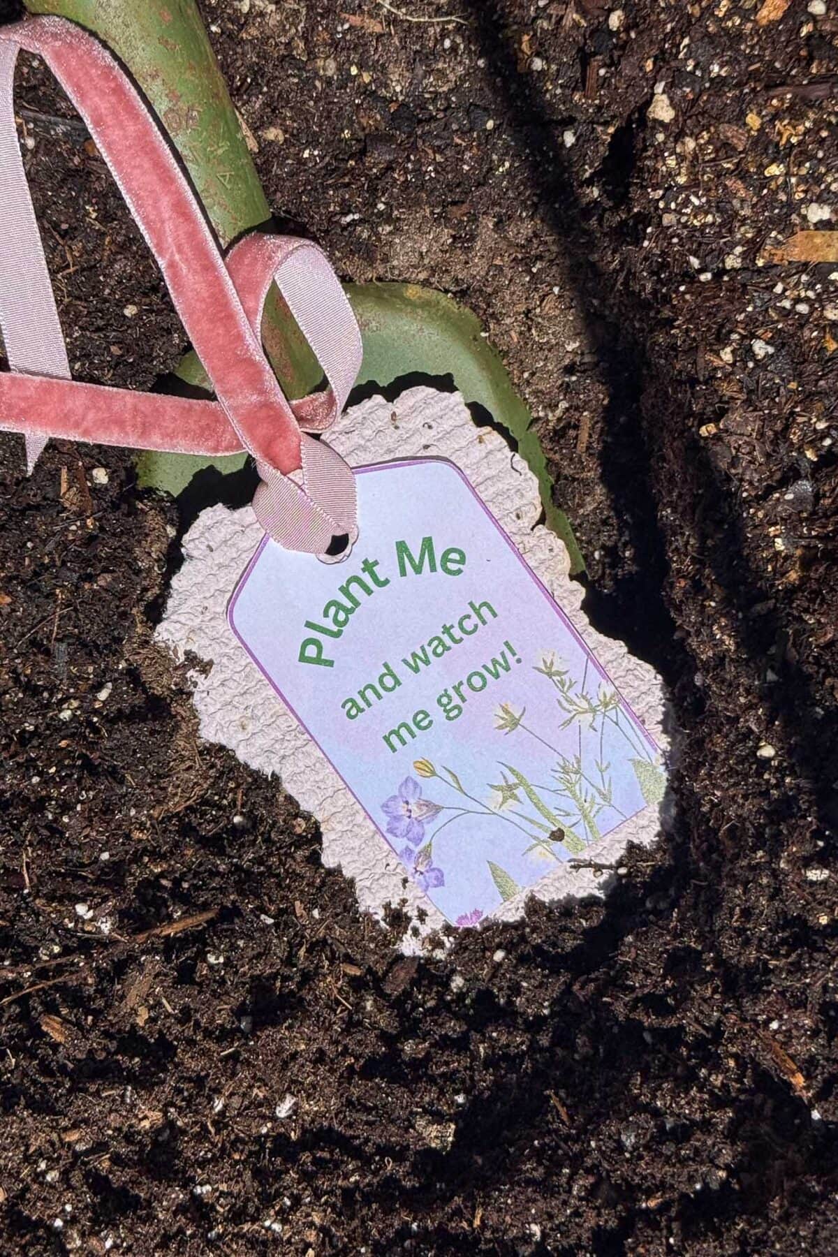 A plant with a pink ribbon and a tag in the soil. The tag reads, "Plant Me and watch me grow!" with small illustrations of flowers and grass at the bottom.