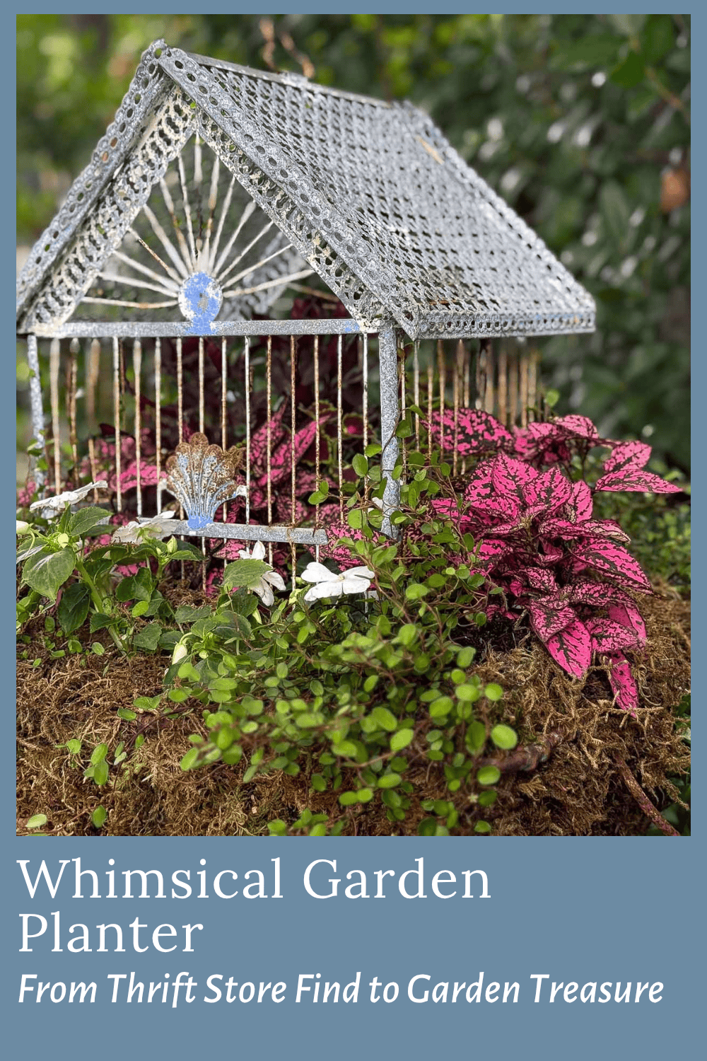 A metal birdcage planter, styled as a charming birdcage, is filled with pink and green plants and sits atop moss, surrounded by lush foliage. Text reads: “Whimsical Garden Planter: From Thrift Store Find to Garden Treasure.”.