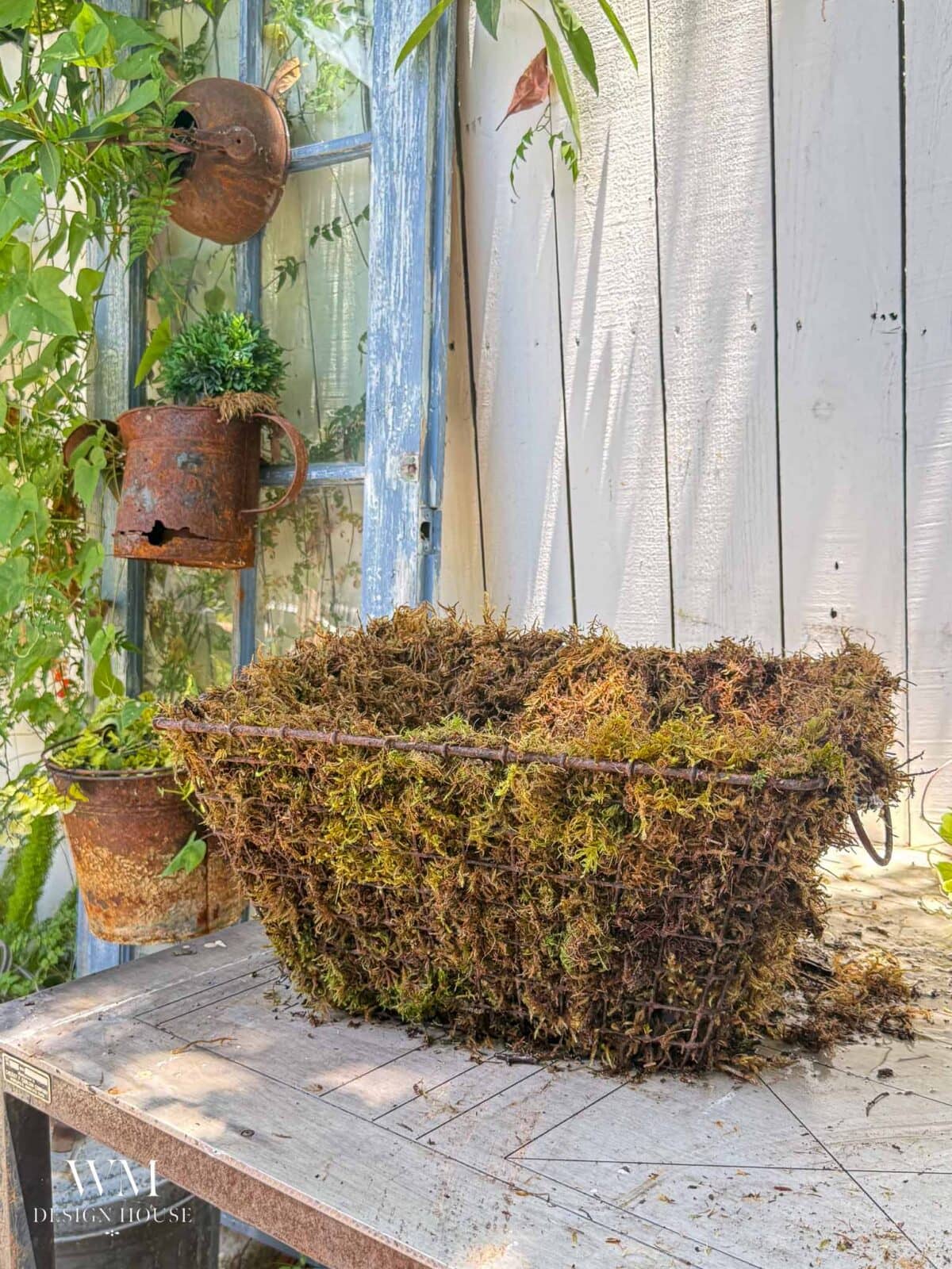 A moss-lined hanging basket sits on a weathered table beside a white wooden wall, with a charming birdcage planter and green plants hanging on a blue-framed window in the background.