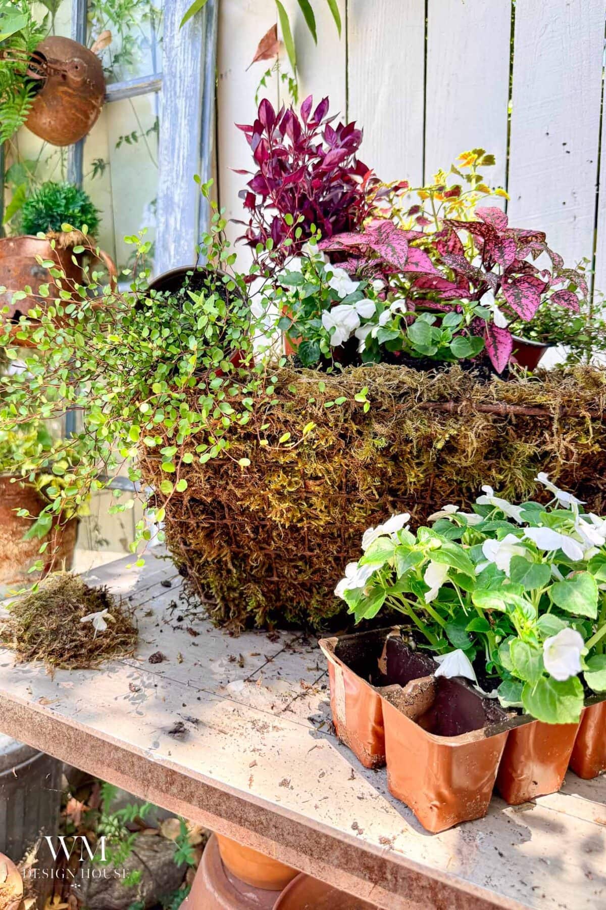 A moss-lined birdcage planter filled with assorted colorful plants sits on a rustic table, surrounded by gardening tools and seedlings, with a weathered white fence in the background.