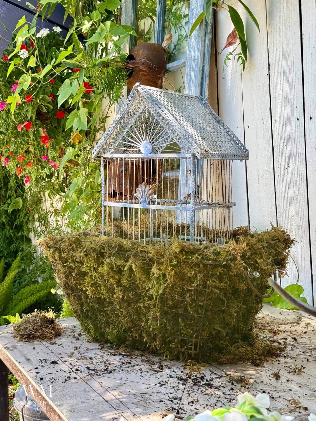 A decorative metal birdcage planter with a moss-covered base sits on a wooden table outdoors, surrounded by green plants and hanging pink flowers, with sunlight filtering through.