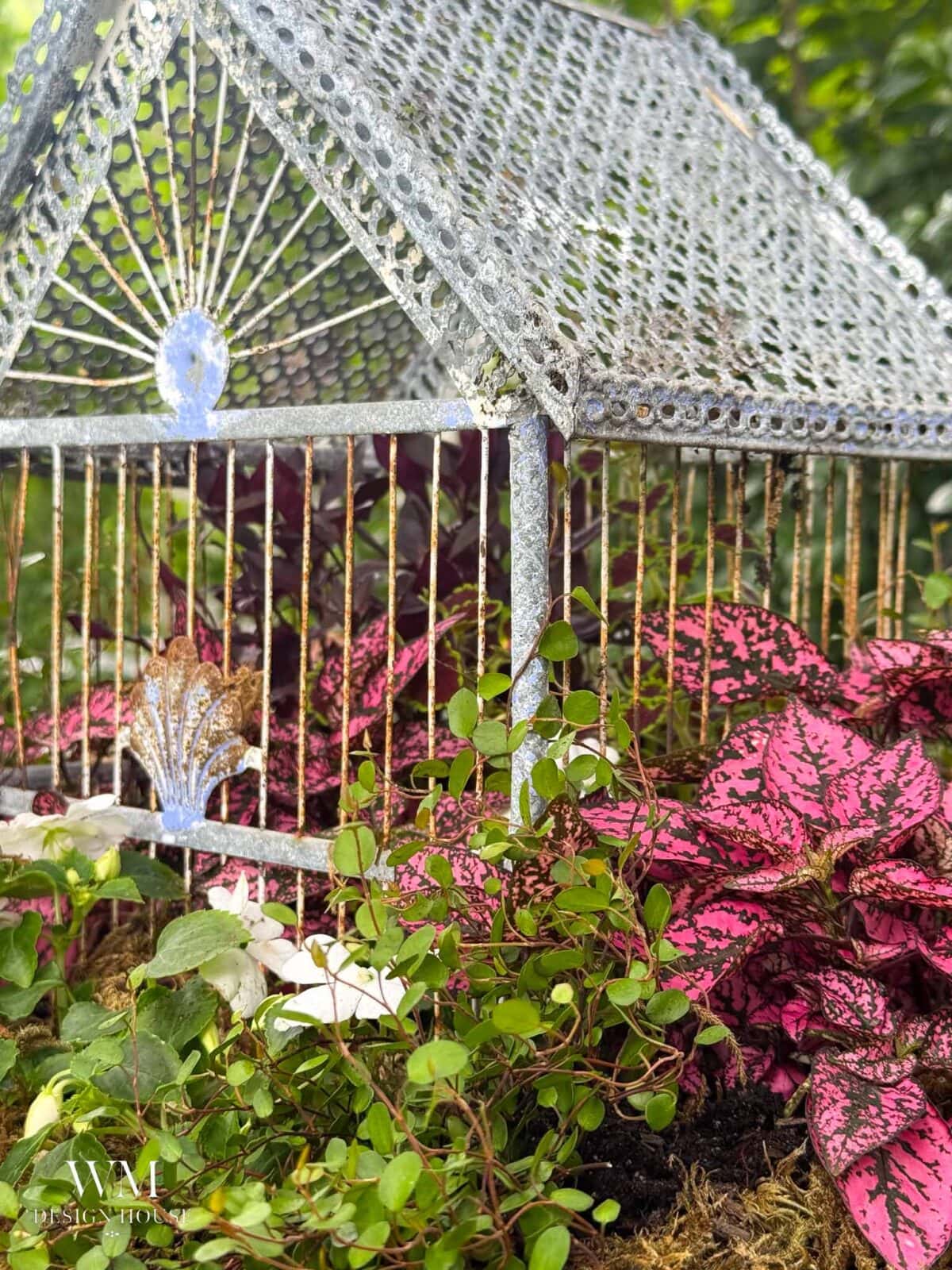 A decorative Birdcage Planter sits among vibrant pink and green foliage and moss, blending into a lush garden setting with intricate cage details visible in the sunlight.