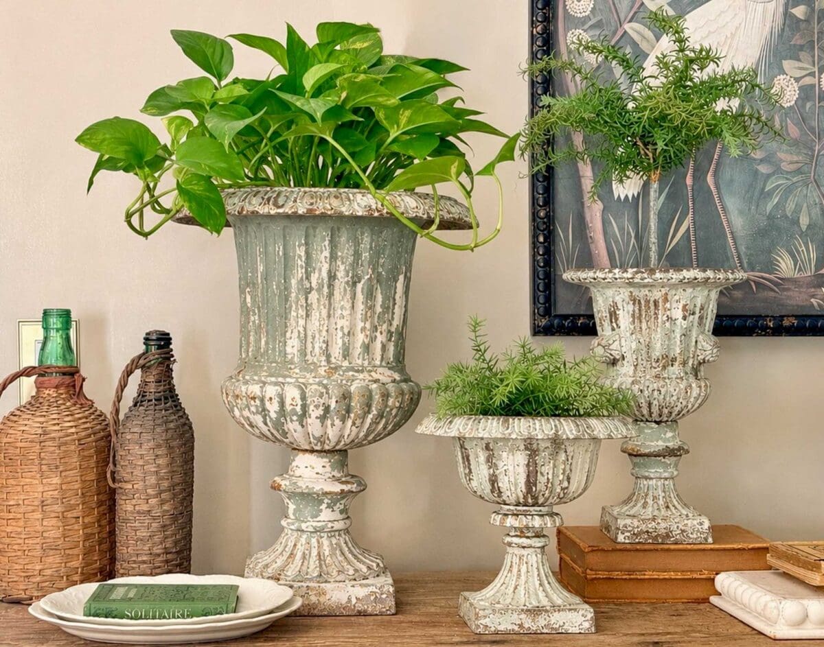 Three distressed, vintage urn planters with an aged patina finish and lush green plants sit on a wooden table. Nearby are woven bottles, stacked books, a plate, and a framed botanical artwork on the wall in the background.