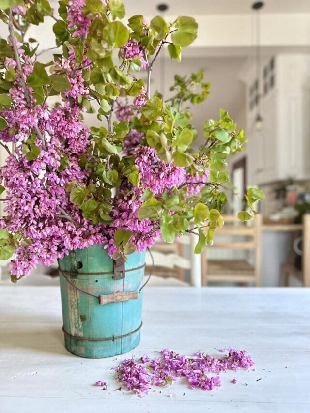 A turquoise bucket filled with blooming lilac branches sits on a white table, with lilac petals scattered on the surface. The background shows a softly focused kitchen and dining area.