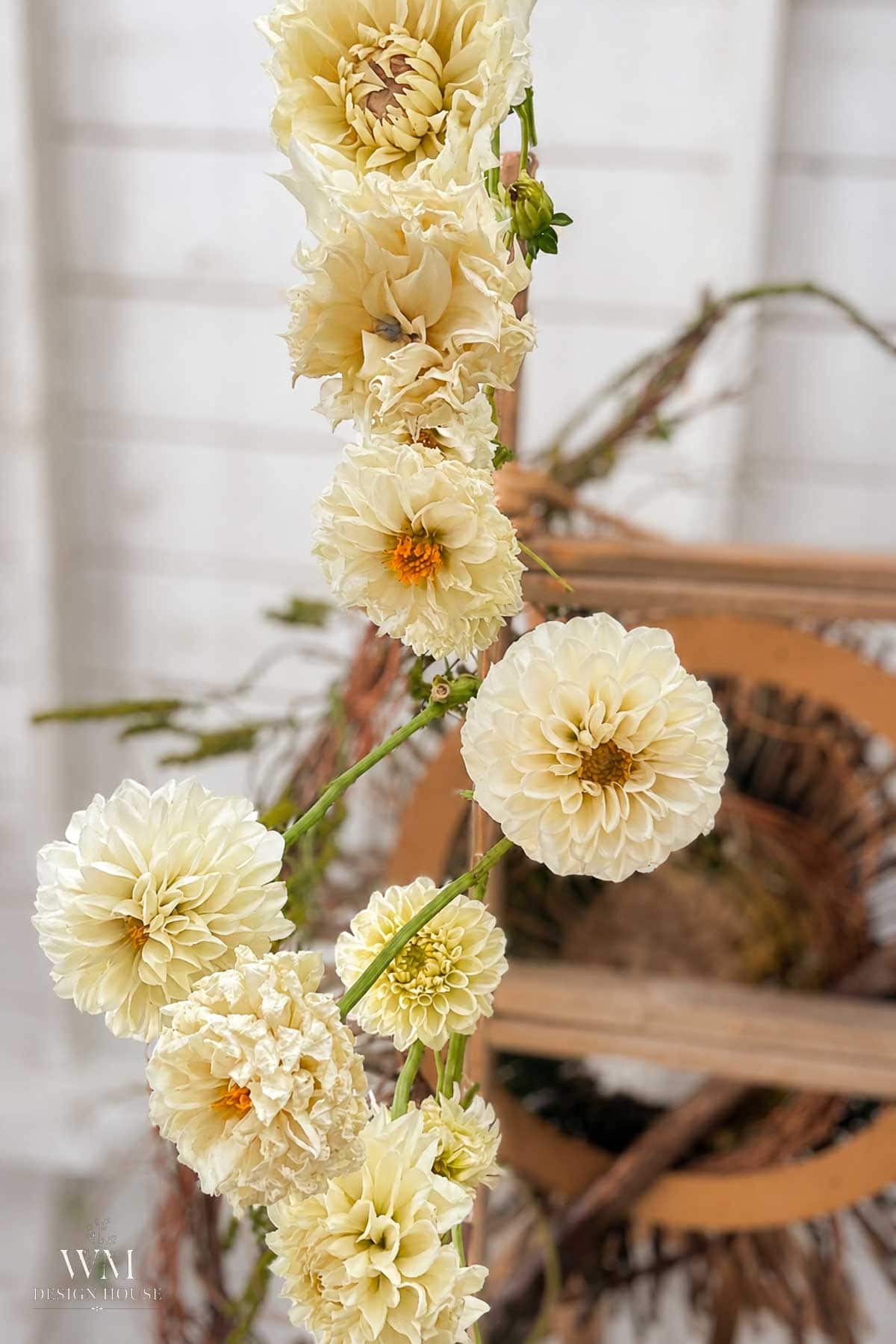 A vertical garland of cream-colored dahlias hangs in front of a rustic background with wooden and wicker elements, creating a soft and elegant floral display.