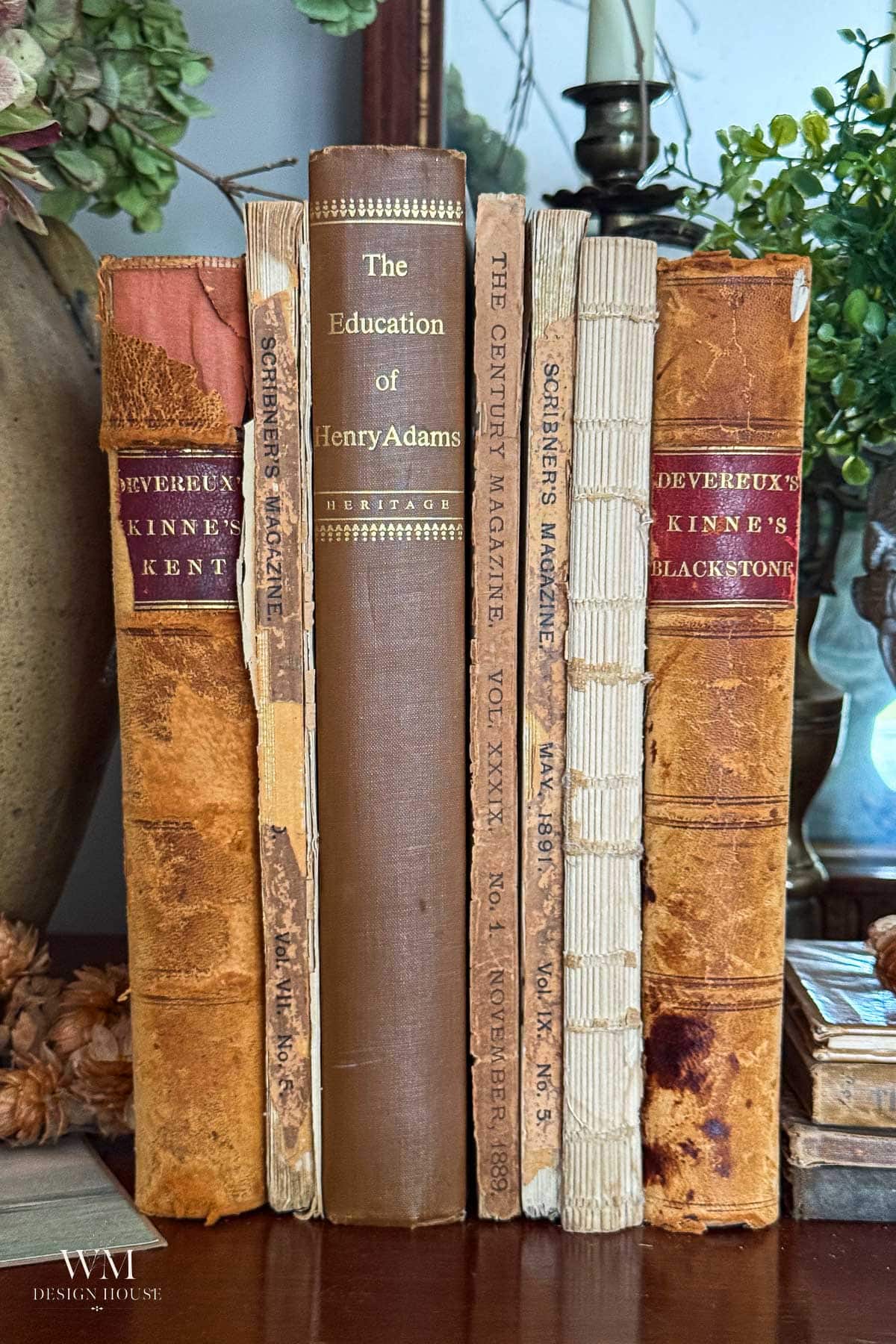 A row of six vintage books with worn spines stands upright on a wooden surface, surrounded by green leafy plants and decorative objects in the background.