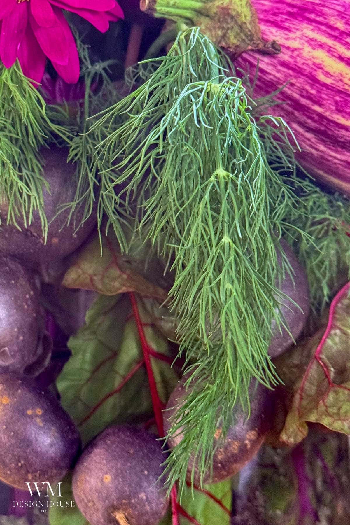 Close-up of a vibrant vegetable-centerpiece featuring fresh dill, purple potatoes, and leafy greens, with a partial pink flower and striped eggplant in the background. The WM Design House logo is visible in the lower left corner.