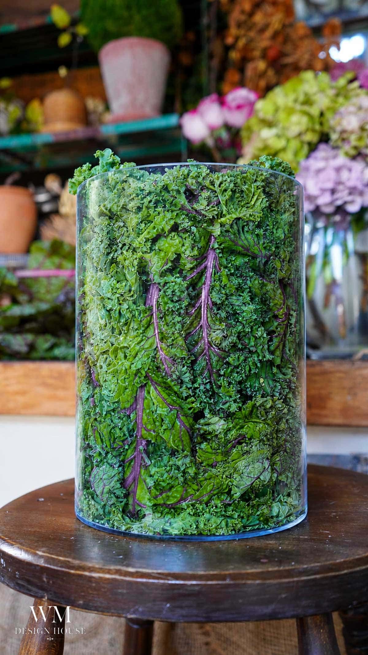 A clear glass vase filled with leafy green and purple kale serves as a stunning vegetable-centerpiece atop a round wooden stool, surrounded by plants and flowers in a rustic indoor setting.