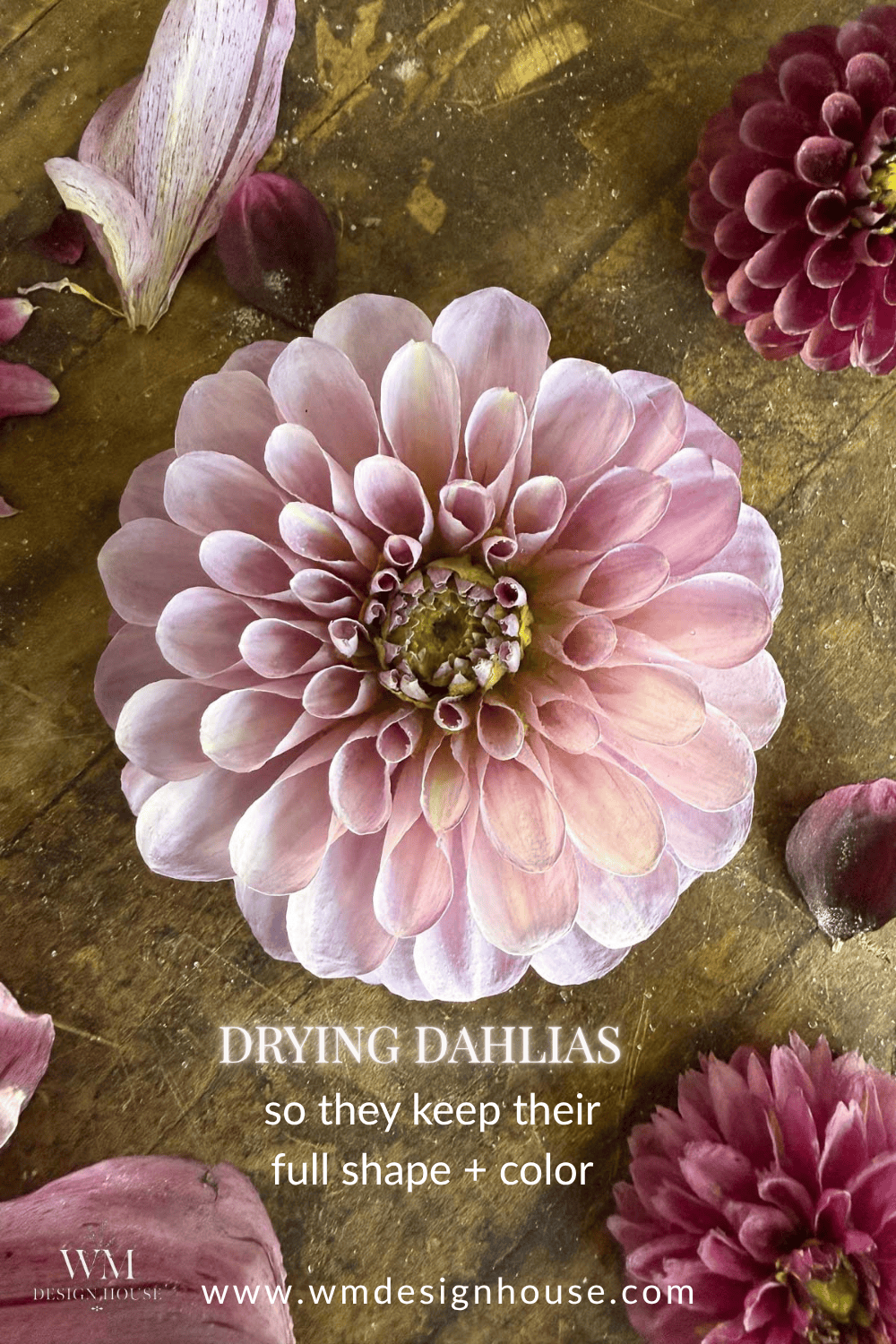 A large, pale pink dahlia bloom sits on a rustic wooden surface, surrounded by petals and other flowers. Text reads: “How to dry dahlias so they keep their full shape + color. www.wmdesignhouse.com.”.