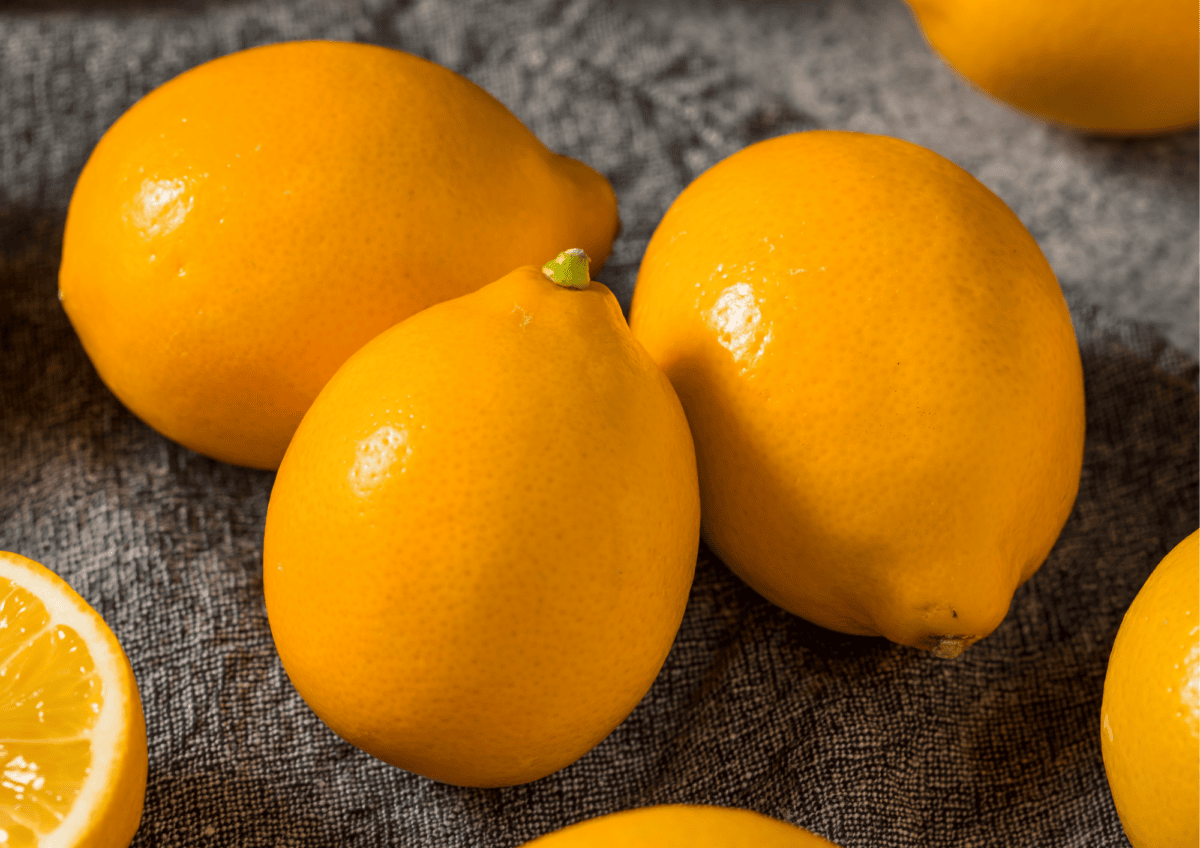 Three whole Meyer lemons and a lemon wedge rest on a dark textured surface. The lemons are bright yellow with a smooth, slightly glossy skin, perfect for making rich Meyer Lemon Curd or drizzling with salted honey for an extra layer of flavor.
