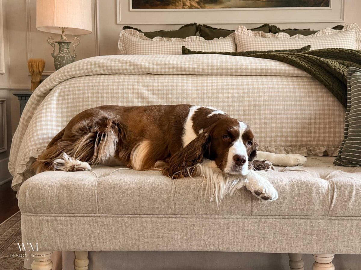A brown and white dog lies relaxed on a beige upholstered bench at the foot of a neatly made bed with checkered bedding in a cozy, softly lit bedroom.