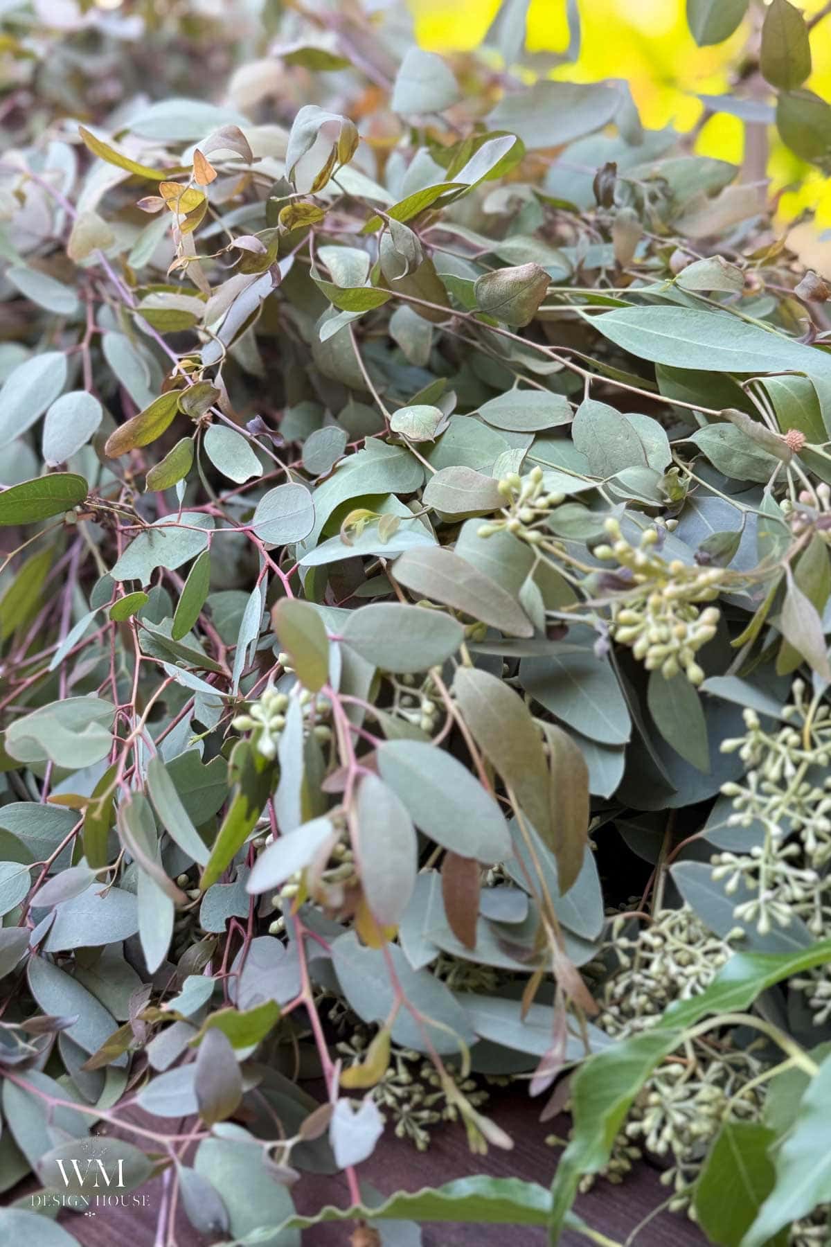 Pepper berry branches with clusters of pink berries and feathery green leaves