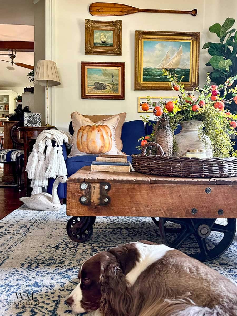 A cozy living room with a dog lying on a rug, a wooden coffee table, a blue sofa with pillows, wall art with nautical themes, a paddle, and a basket of flowers. Warm, inviting decor fills the space.