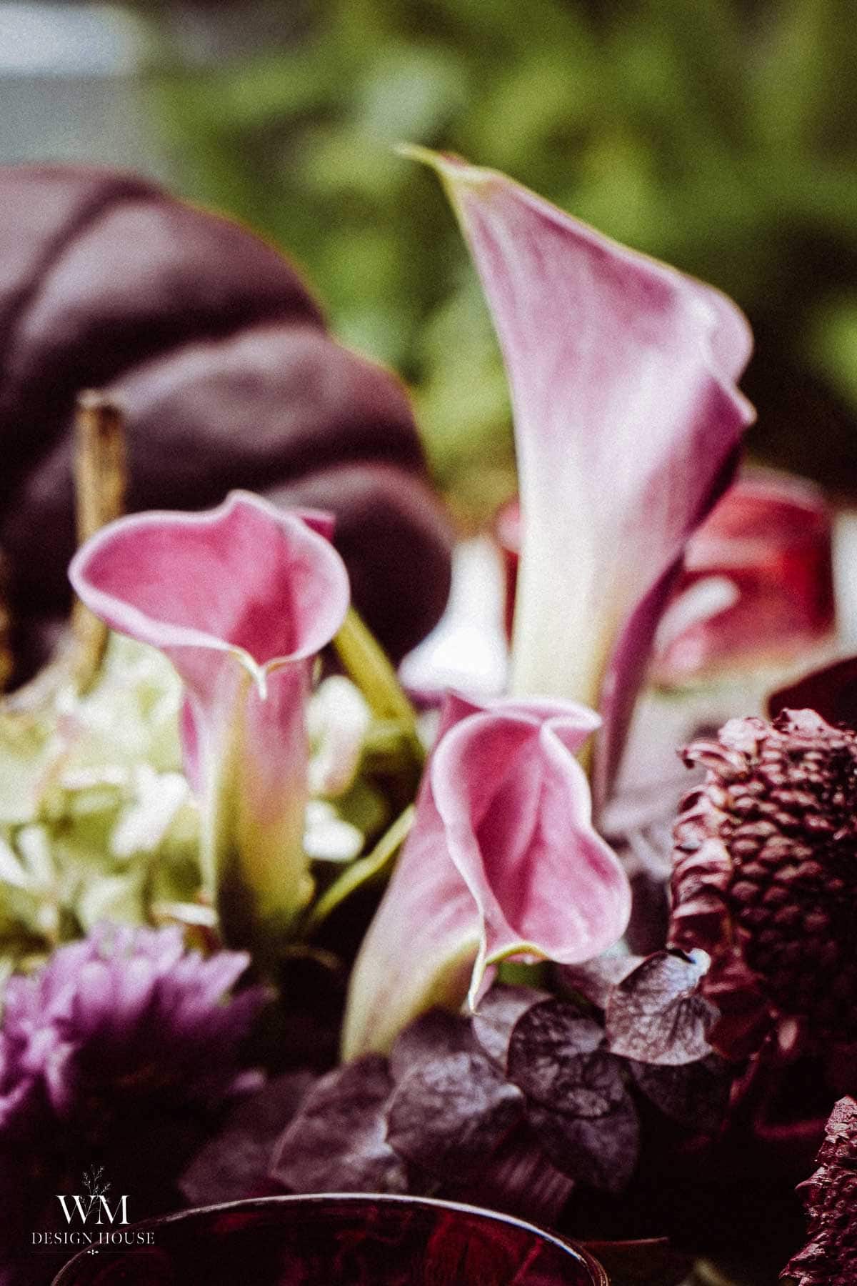 Close-up of three pink calla lilies surrounded by assorted flowers and leaves, with a blurred background and the “WM Design House” logo in the bottom left corner.