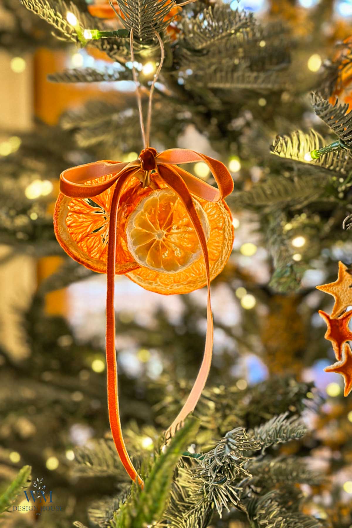 Two dried orange slices tied with a ribbon, hanging as an ornament on a lit Christmas tree.