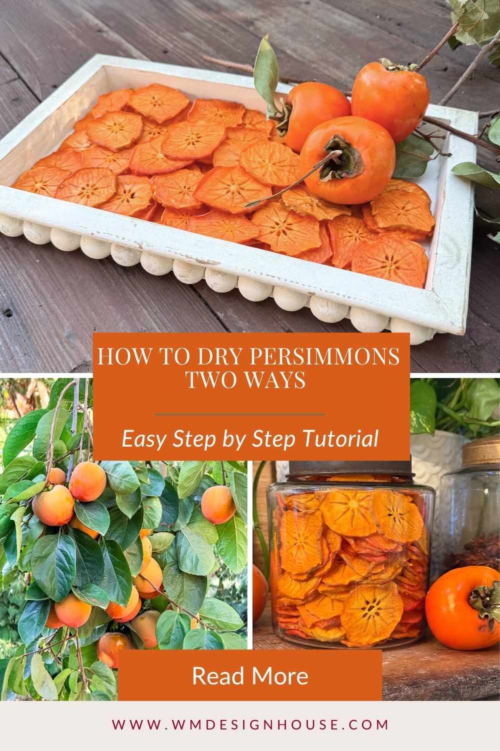 A collage tutorial for drying persimmons, featuring a wooden tray of dried fruit slices, fresh persimmons on a tree, and a glass jar filled with preserved slices, with text overlay reading “How to dry persimmons two ways.”