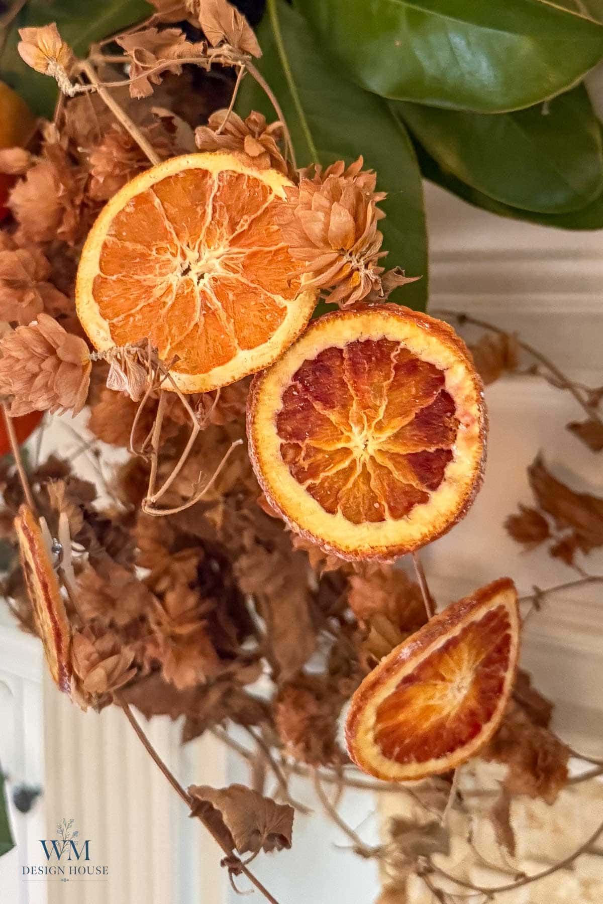 Dried orange and blood orange slices arranged among dried foliage as part of seasonal fall decor.