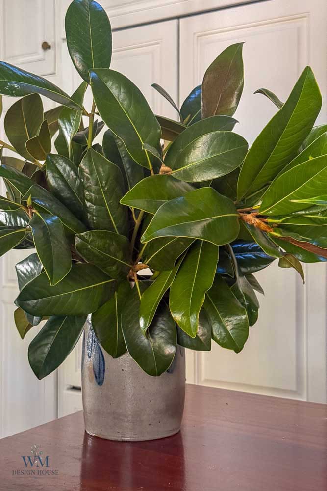 A bunch of green magnolia leaves in a ceramic vase on a wooden surface.