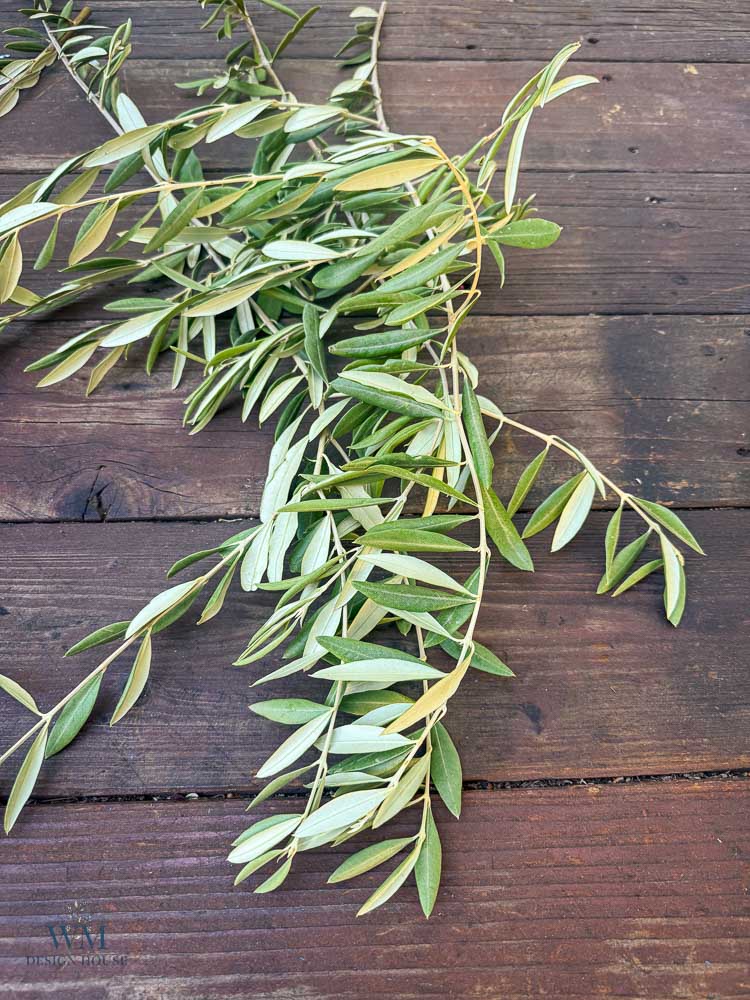 Olive branches with narrow green leaves lying on a dark wooden surface.