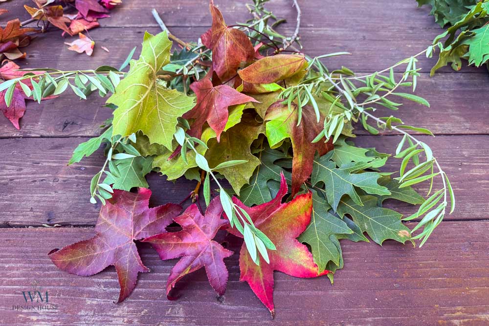 A collection of colorful autumn maple and oak leaves mixed with green sprigs lying on a wooden surface.