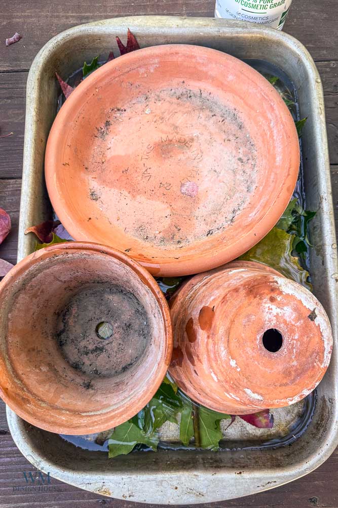 Three terracotta plant pots soaking in a shallow metal tray filled with water and fallen leaves.