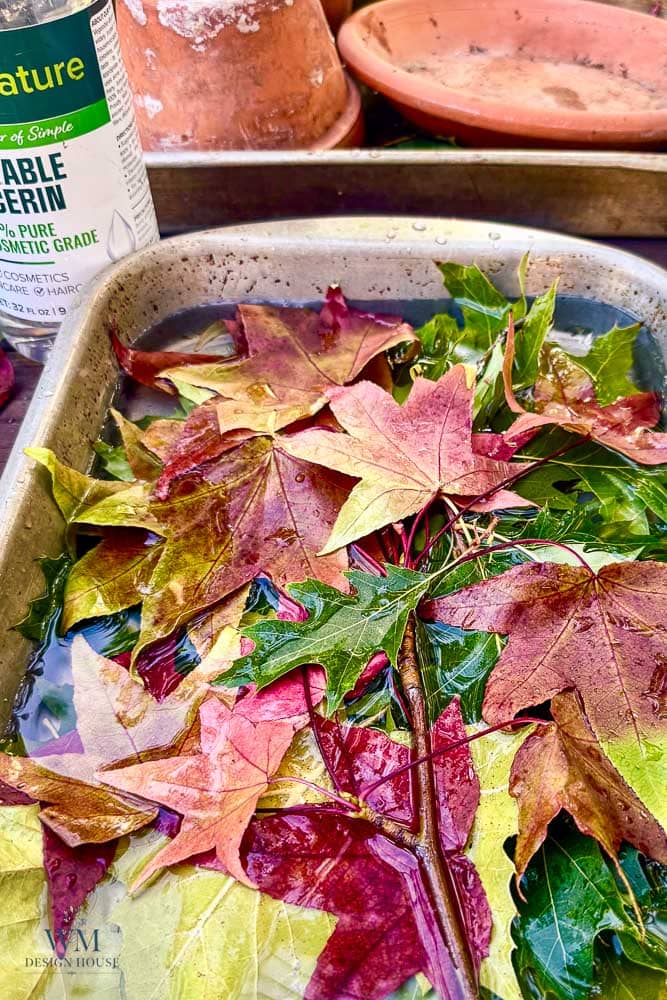 Autumn leaves soaking in a metal pan filled with liquid, next to a bottle of vegetable glycerin.